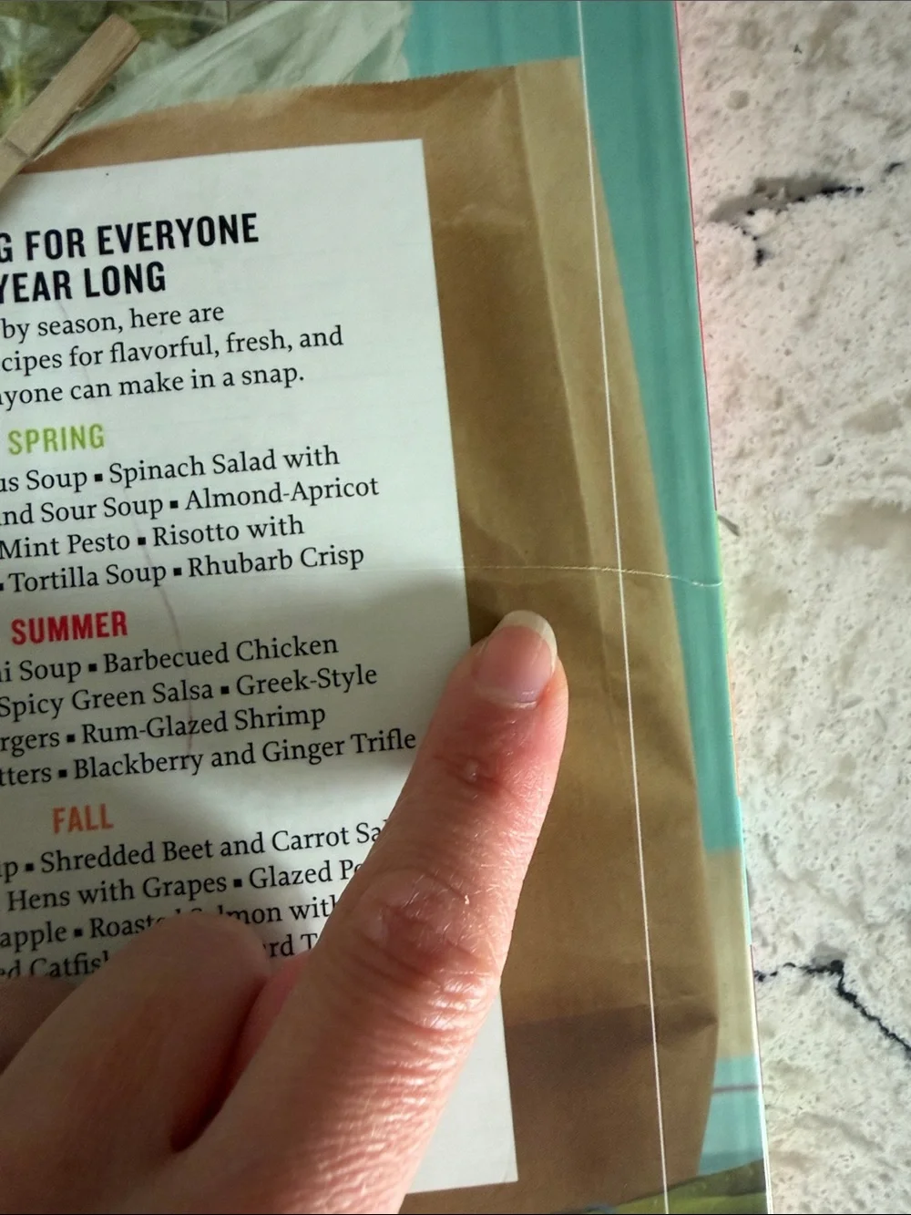 Martha Stewart Food Everyday Great Fast Food Cookbook